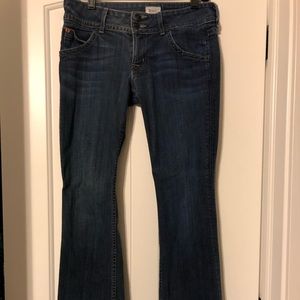 Hudson, lowrise bootcut jeans
